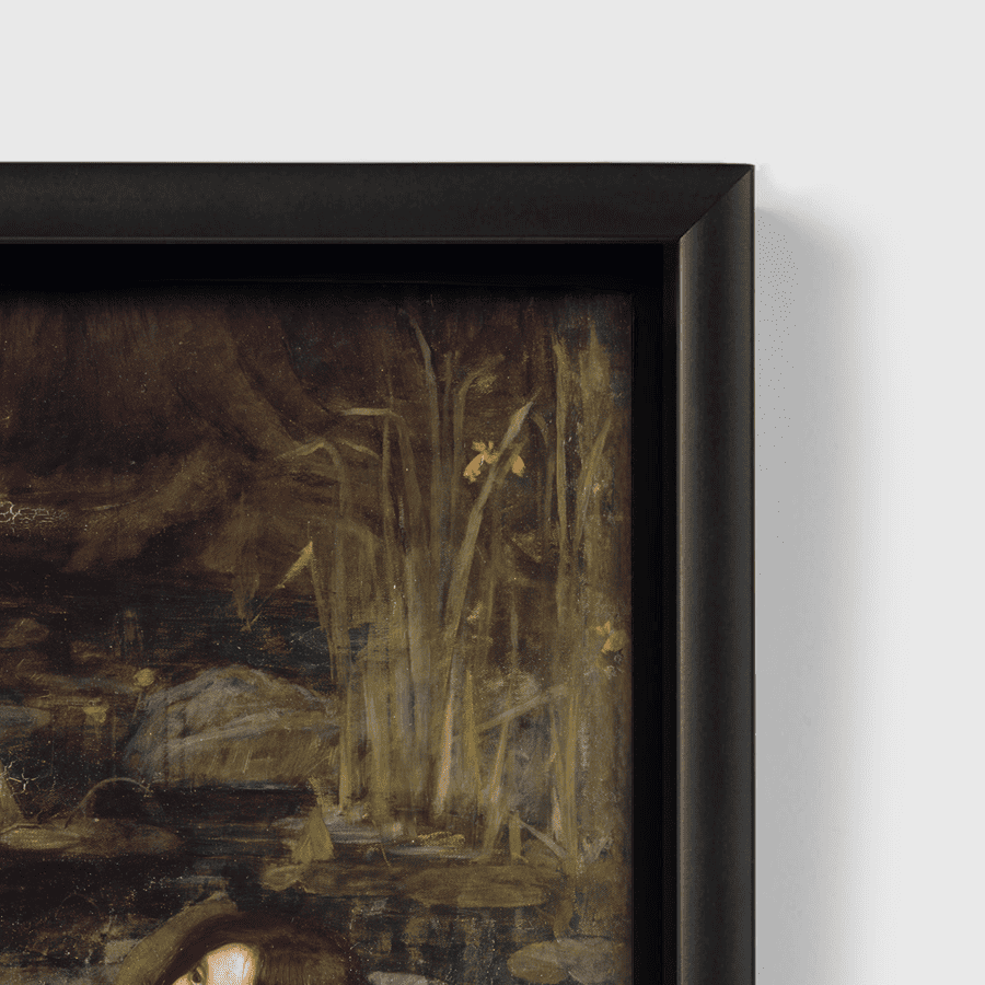 Hylas and the Nymphs | John William Waterhouse