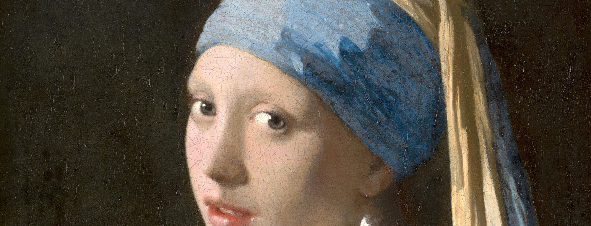 Johannes Vermeer banner